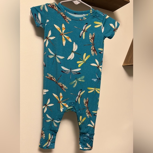 Posh Peanut Dragonflies - Picture 1 of 1